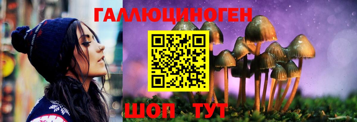 Черкесск  Галлюциногенные грибы Cubensis  Псилоцибиновые грибы MAGIC MUSHROOMS  Вход с VPN 
